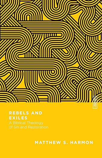 Rebels and Exiles book cover